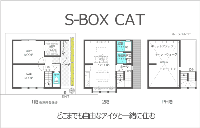 S-BOX cat